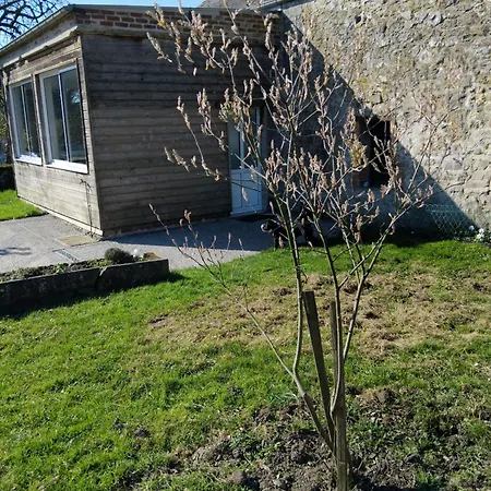 Charmante Maison Avec Cheminee, Grand Jardin Et Boxe Chevaux Saint-Hilaire-sur-Helpe
