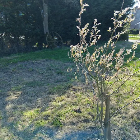 Nyaraló Charmante Maison Avec Cheminee, Grand Jardin Et Boxe Chevaux